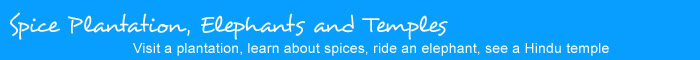 Spice Plantation, Elephants and Temples